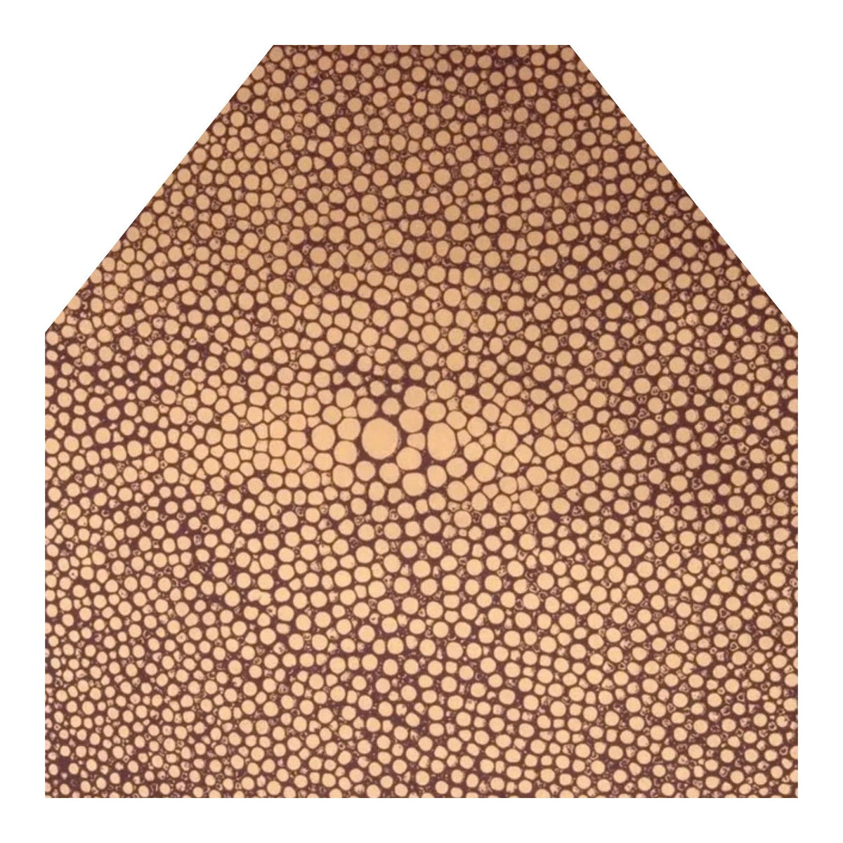 The Envelope Liner