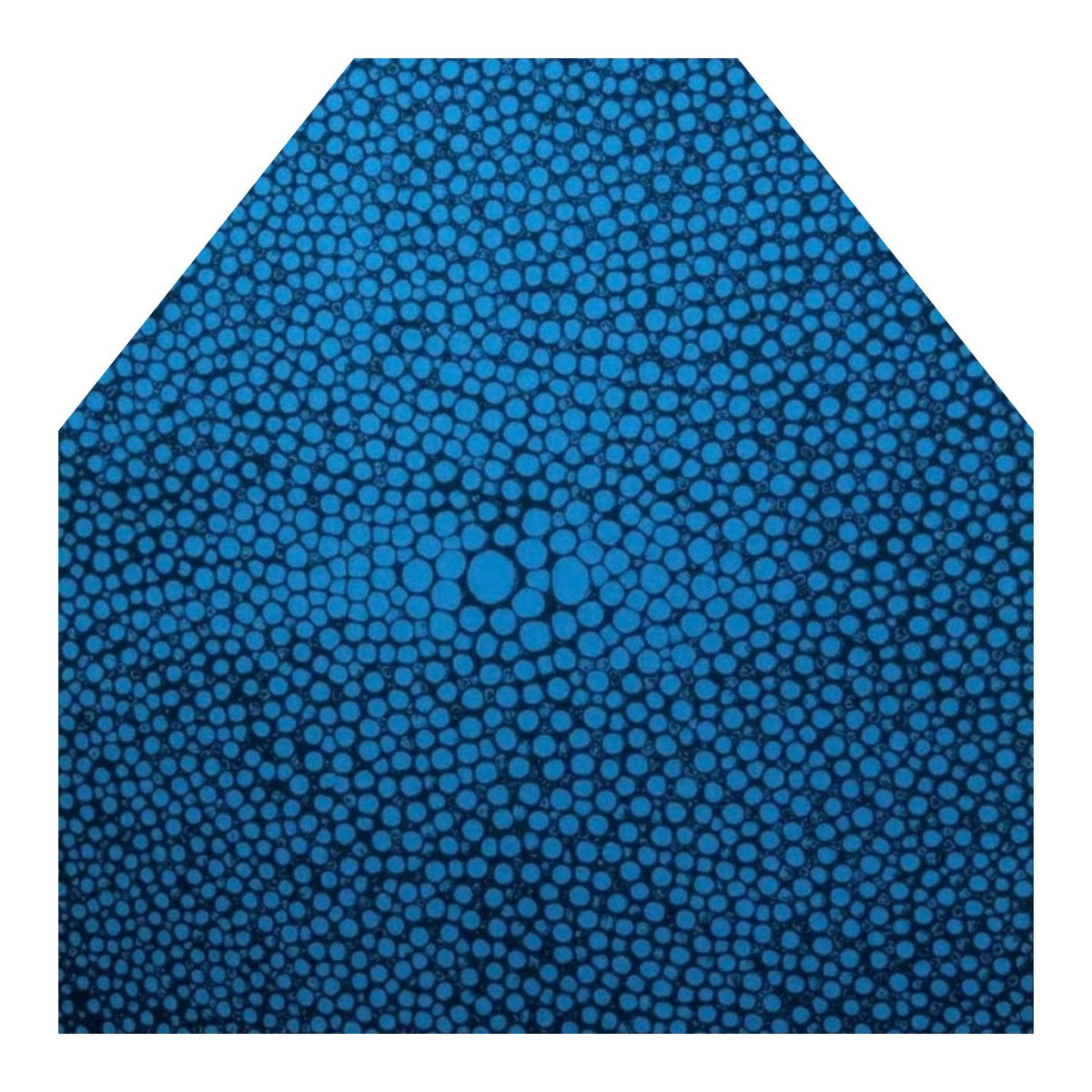 The Envelope Liner