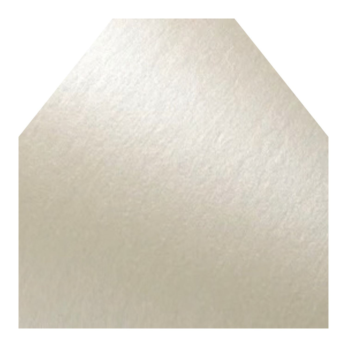 The Envelope Liner