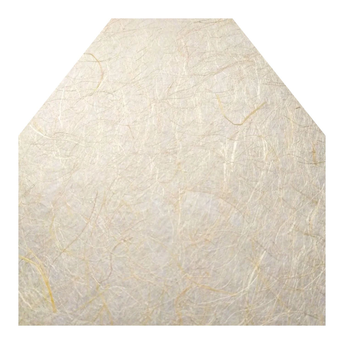 The Envelope Liner