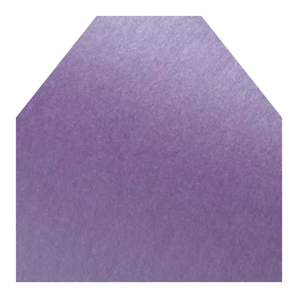 The Envelope Liner