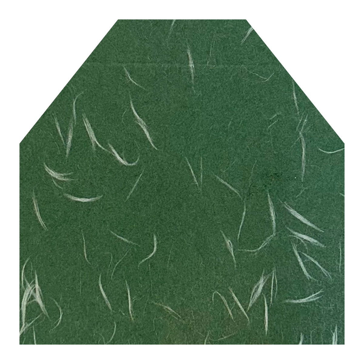 The Envelope Liner