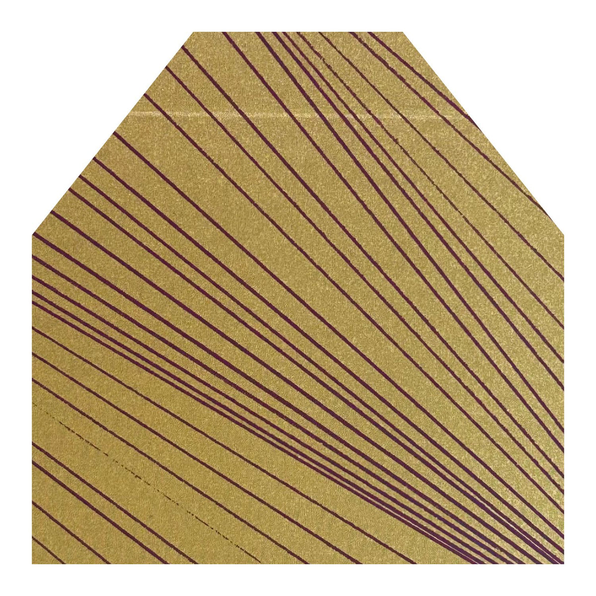 The Envelope Liner